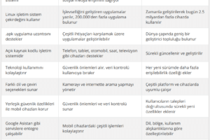 Android Ne İşe Yarar? İşte Cevabı