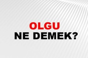 Olgu Nedir? Olgu Tanımına İlişkin Detaylı Bilgi